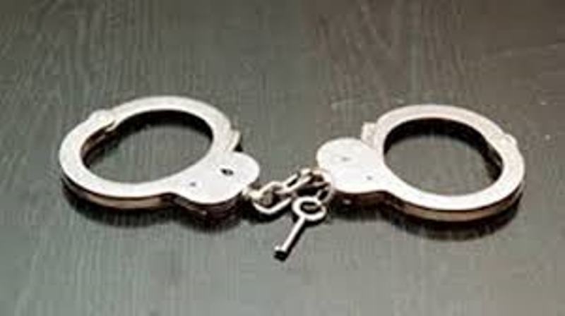 Задържани са 15 служители на ДГС Болярка във Велико Търново за срок