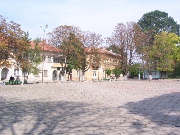 Общинската администрация в Бойница Видинско си търси главен счетоводител научи