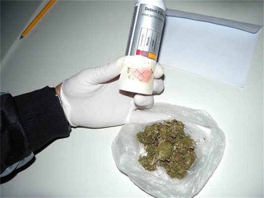 Ченгета намериха канабис при обиск на къща във Врачанско съобщиха