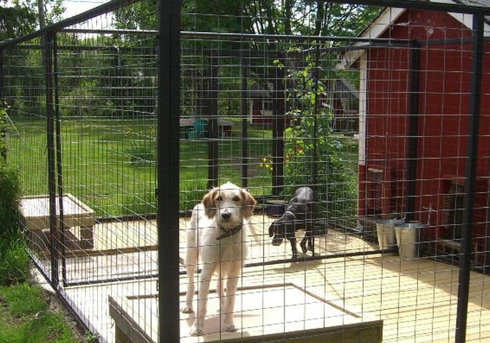 Врачанска фирма ще реконструира общинския изолатор за бездомни кучета в