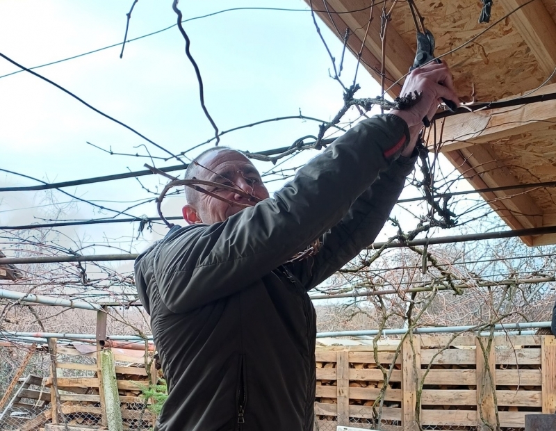 С много настроение духова  музика руйно вино и кръшни хора