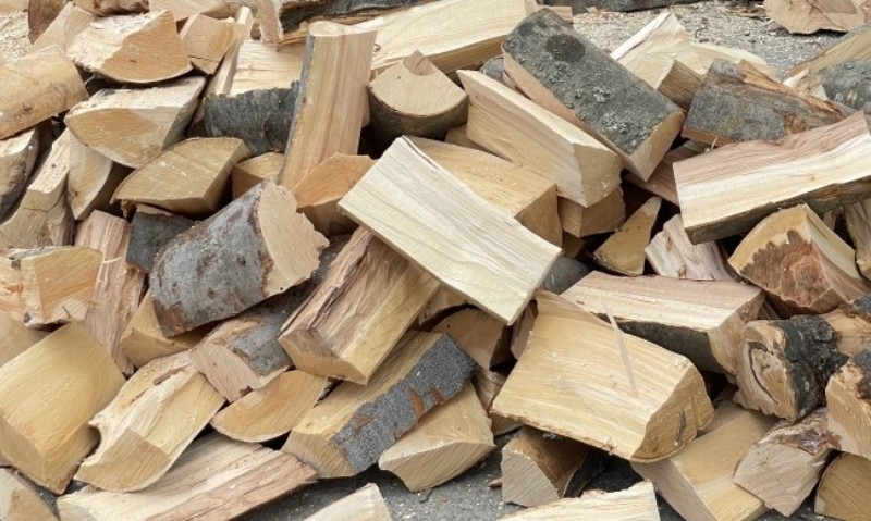 Намериха незаконни дърва в частен дом във Врачанско, съобщиха от