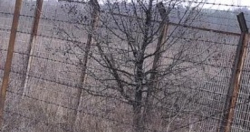 Баща и двамата му синове съответно на 58 36 и