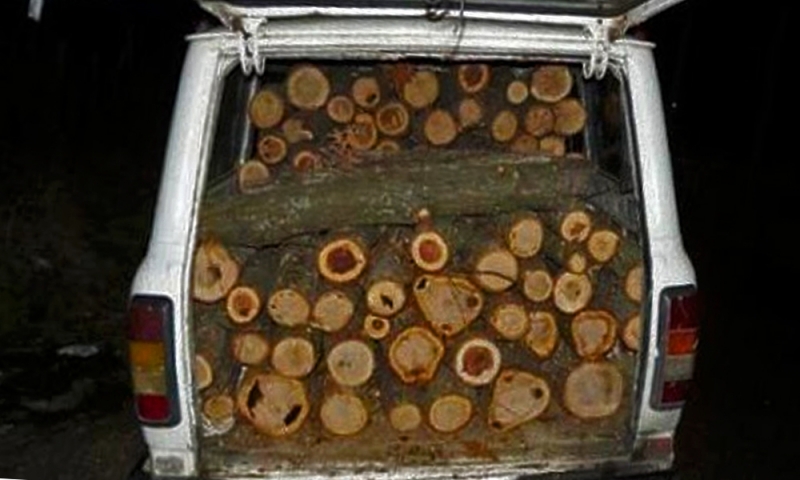 Заловиха младок от Червен бряг с крадени дърва във Врачанско