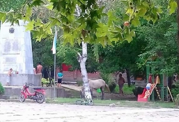 Жители на врачанското село Три кладенци пропищяха от наглец който