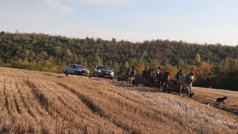 Прекратена е дейността на два склада за съхранение и преработка