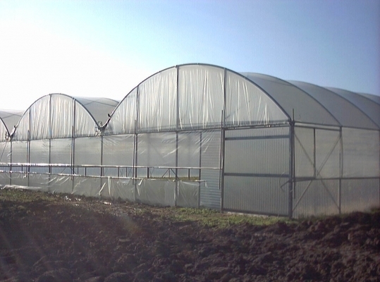 Частен съдебен изпълнител обяви на търг огромен оранжериен комплекс в