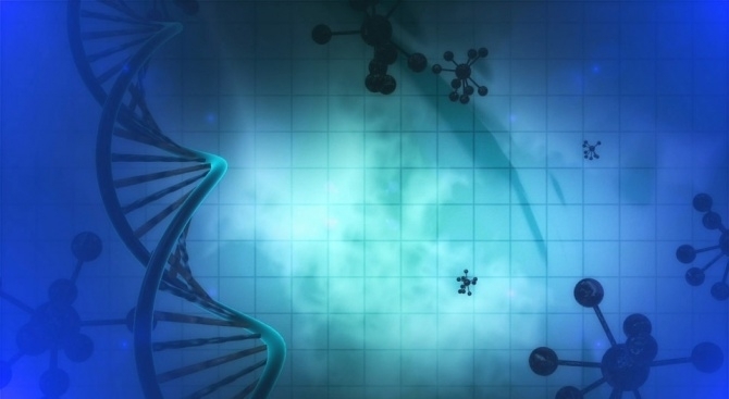 Учени от Свободния университет в Брюксел идентифицираха ген който отговаря