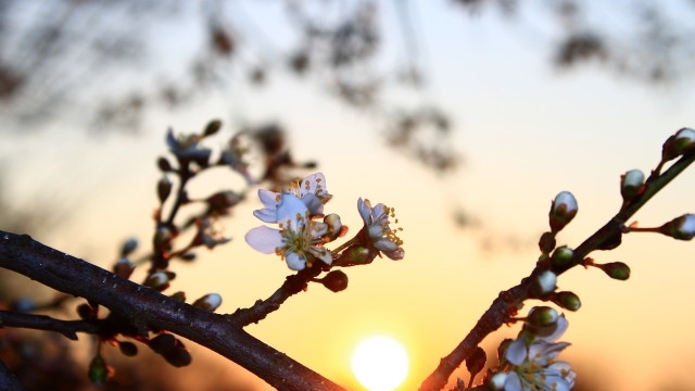 Днес ще бъде слънчево Ще духа слаб вятър предимно от