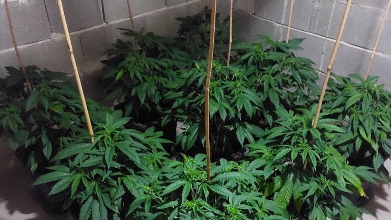 Районен съд – Бяла Слатина днес постанови да бъде взета