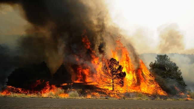 Пожар вилня в дърве навес в Мездра съобщиха от полицията