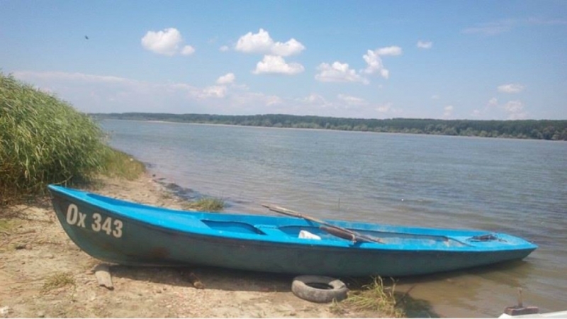 Рибари забелязаха бобър в река Дунав, край оряховското село Долни