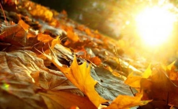 Тази неделя облачността ще е променлива по значителна в часовете до обяд