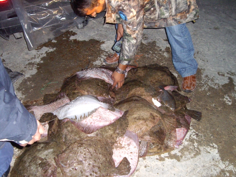 От 16 юни отпада забраната за риболов в рибностопанските обекти,