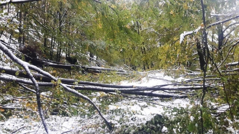 Проходът Петрохан остава затворен съобщи областният управител на Монтана Росен