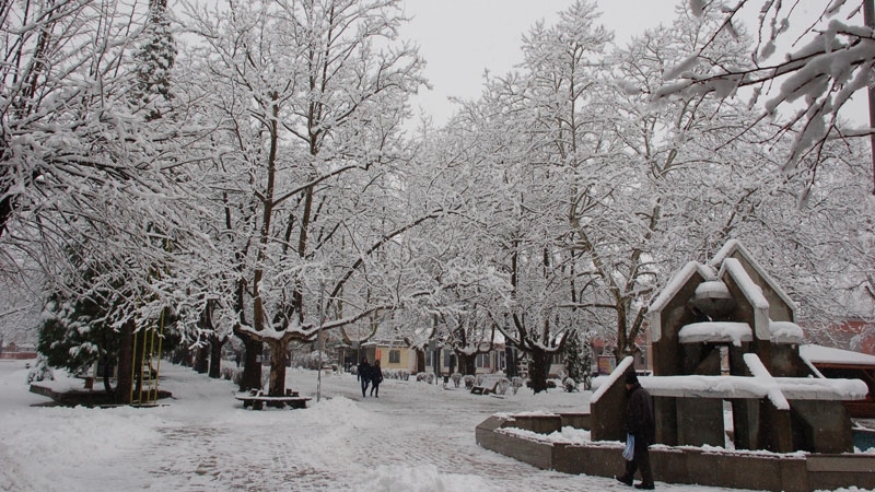 Община Вършец стартира кампанията за плащане на данък върху превозни