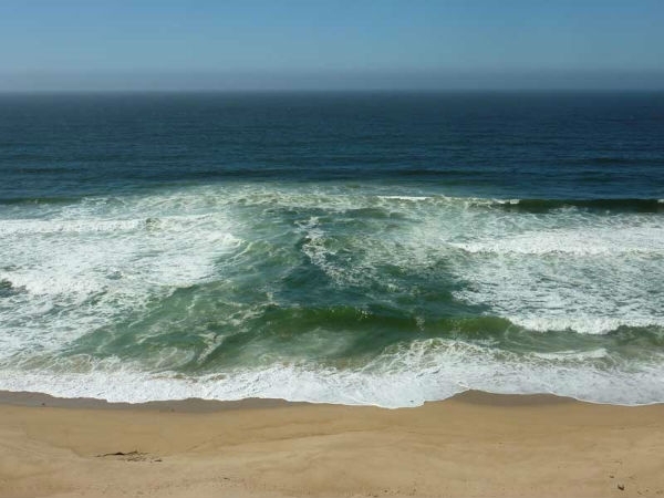 За сериозна опасност от пожари в следващите дни предупреждават синоптиците