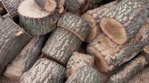 Незаконни дърва бяха открити в двора на къща в Борован