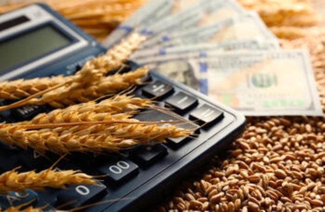 Котировките на зърнените стоки по световните борси се движат разнопосочно отчитат експертите