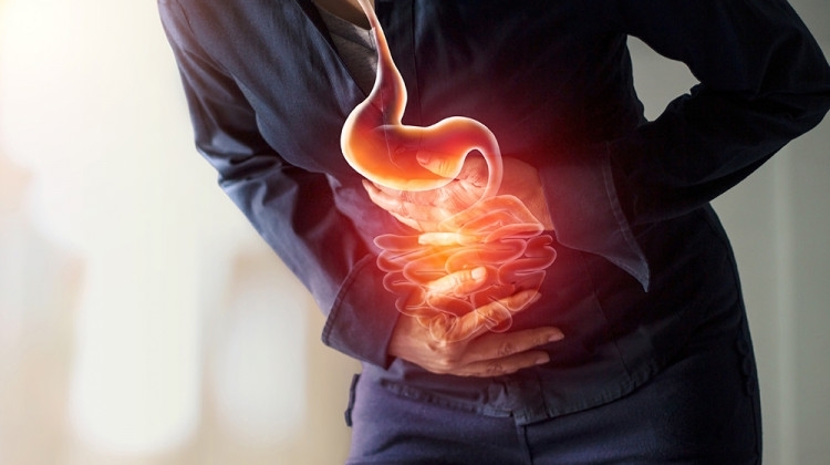 Гастритът е много неприятно заболяване възпалението на лигавицата на червата