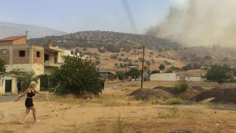 В Северна Гърция огънят се движи към българската граница, заяви заместник-областният