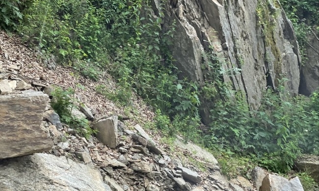 Турсти в района на местността Камъка край Горна Оряховица намериха