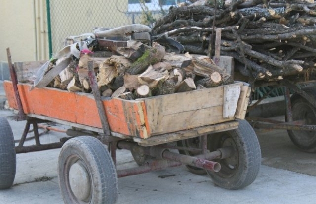 Полицията е спряла мъж с каруца пълна с дърва във