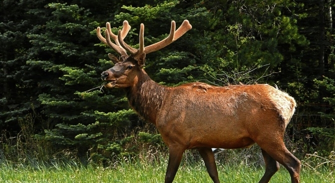 На 10 октомври в 11 22 часа чрез ЕЕН 112 в