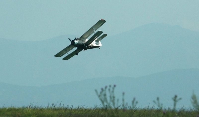 Пак опасност за пчелите! Пръскат насажденията в община Борован
