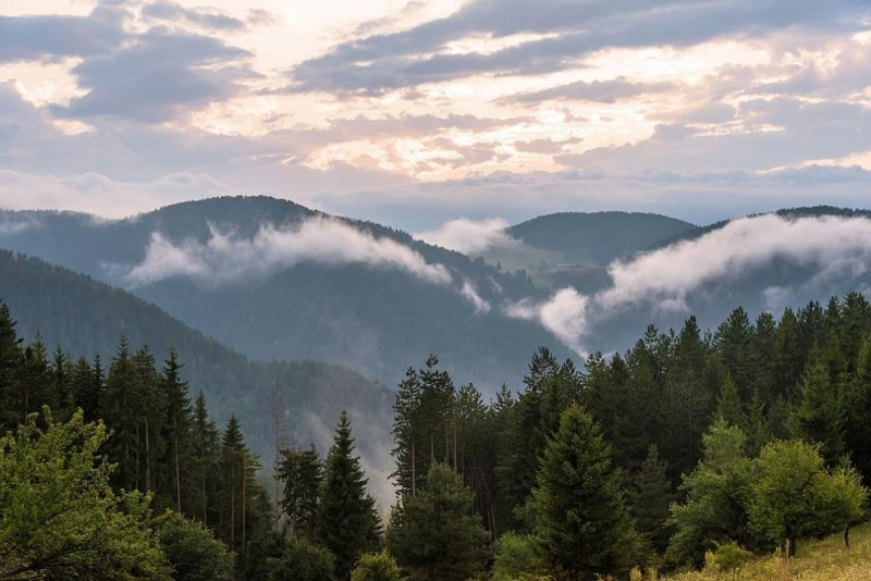 Предстои обявяването на територията на Сакар планина за защитена зона