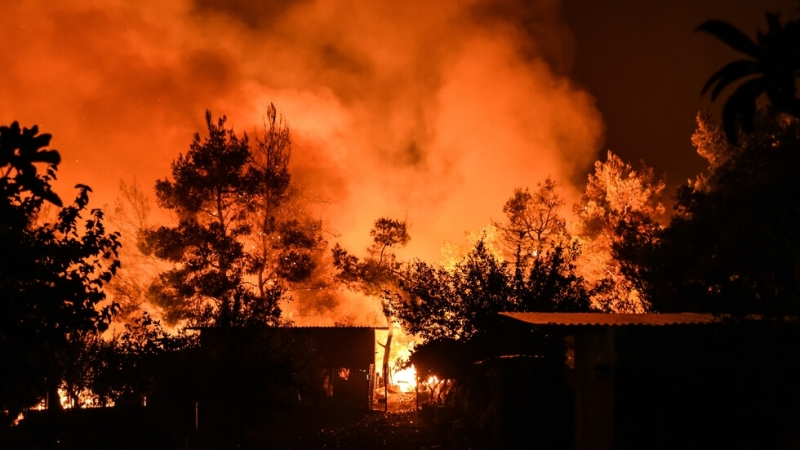 Близо 60 пожарникари с 23 коли водят битка срещу огнена