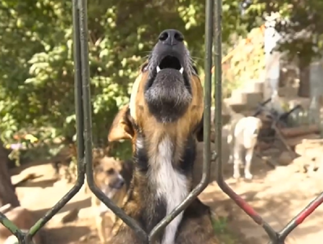 Жители на блок в Монтана са подложени на денонощен тормоз