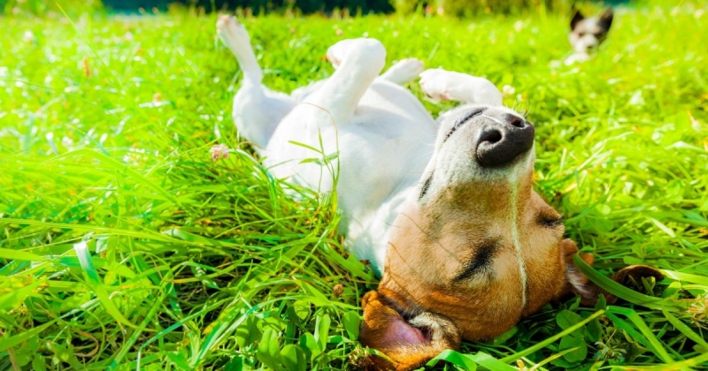 През нощта облачността ще е разкъсана предимно висока По значителна ще