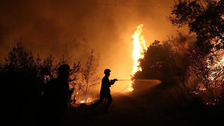 Голям горски пожар е бушувал във Видинско снощи, съобщиха от