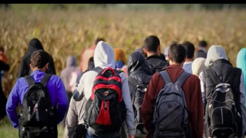 Разбиха мигрантска престъпна група от 7 човека и ръководителят им