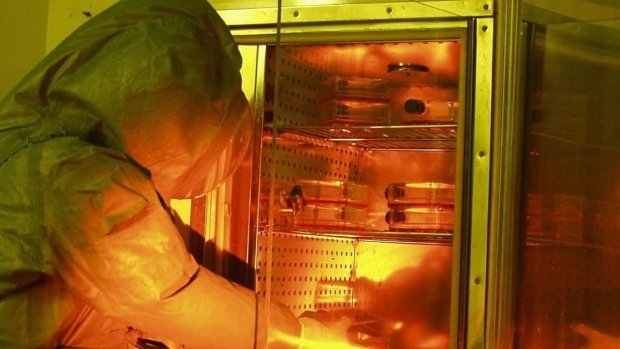 Взрив на газ предизвика пожар в руски център по вирусология