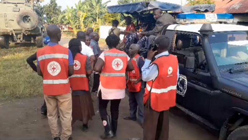 Двадесет предполагаеми съучастници на ислямистките бунтовници от Съюзническите демократични сили