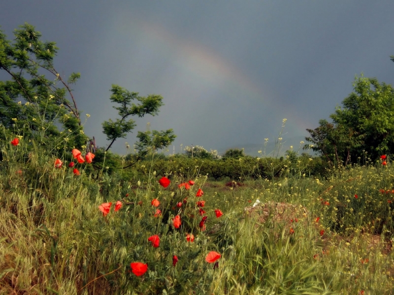 През деня в понеделник времето ще остане топло и предимно