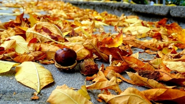 През нощта ще преобладава ясно и почти тихо време Минималните