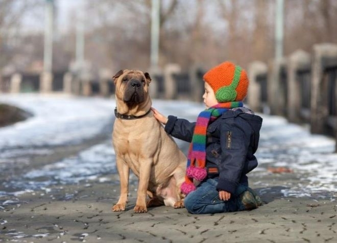 Днес ще бъде слънчево с разкъсана висока облачност Ще духа слаб  в Източна България