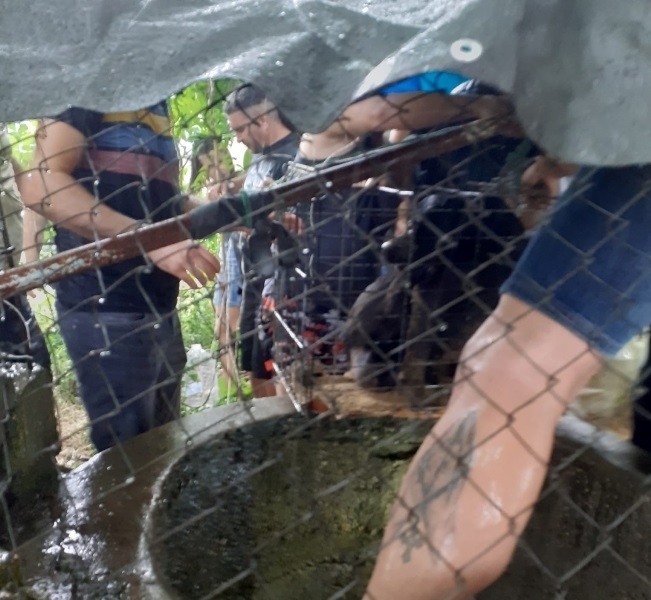 Случка от Козлодуй връща вярата в доброто у хората Куче