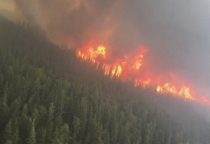 Огнена стихия в Аляска- пожари и рекордни температури обхванаха американския