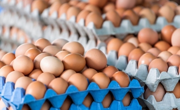 Украинските яйца са безопасни показаха резултатите от изследванията на Българската