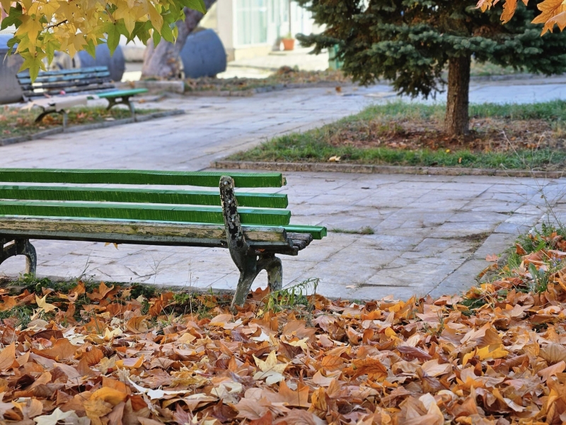 Ремонти, почистване и облагородяване кипят в Берковица /снимки/