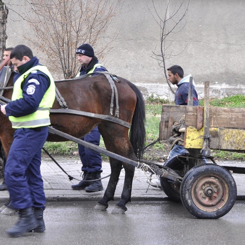 Кон с каруца но без каруцар помете две жени на