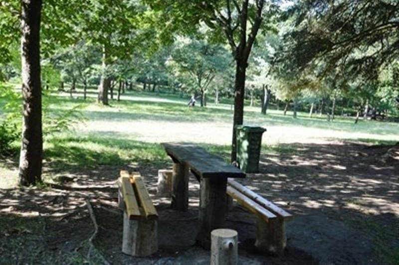 Пешеходната алея водеща към парк Бачиново над Благоевград пропадна след