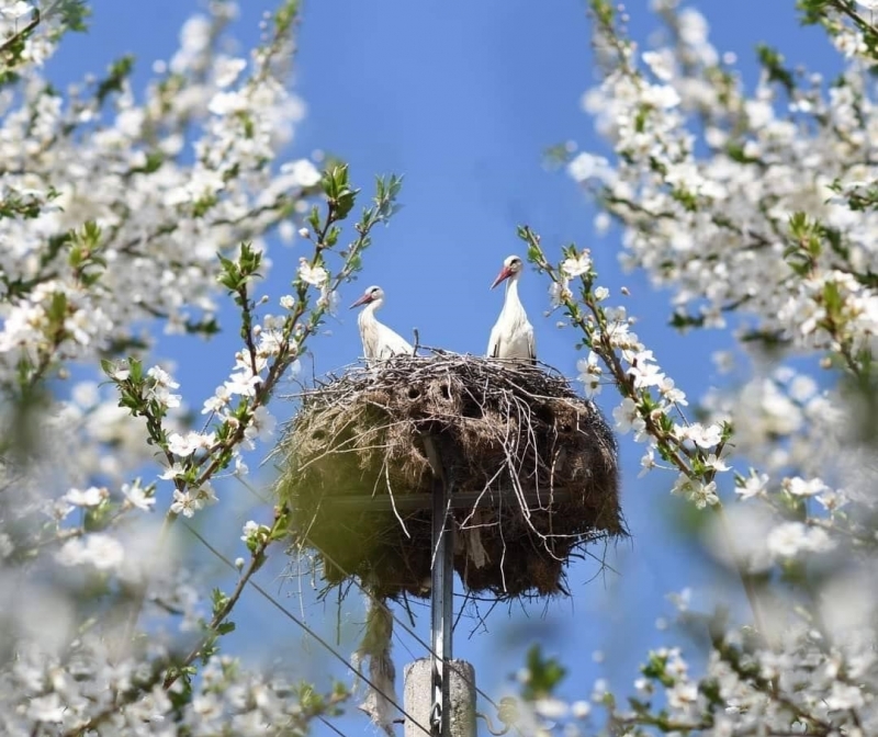 През нощта облачността от запад ще продължи да намалява над