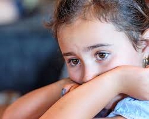 През миналия месец социалните във Враца са станали свидетели на