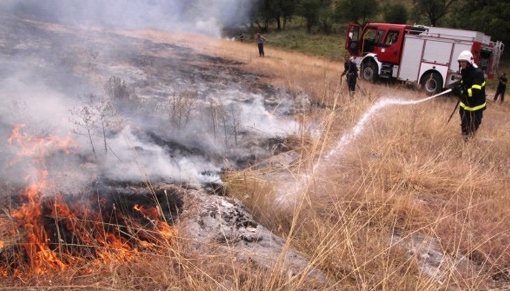Голям пожар е бушувал вчера край берковското село Комарево съобщиха