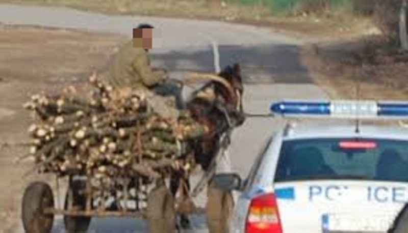 Униформени хванаха каруца с дърва във Видинско съобщиха от МВР